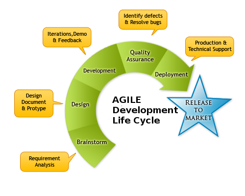 Software Development Process